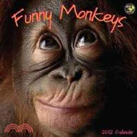 Funny Monkeys 2012 Calendar