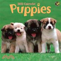 Puppies 2012 Calendar