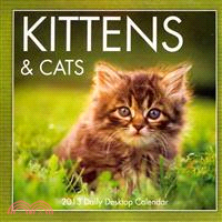 Kittens & Cats 2013 Calendar