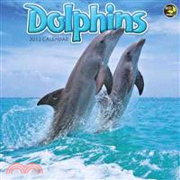 Dolphins Calendar