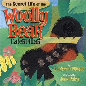 The Secret Life of the Woolly Bear Caterpillar