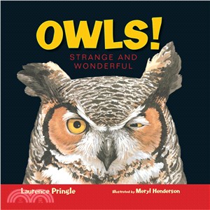 Owls! ─ Strange and Wonderful
