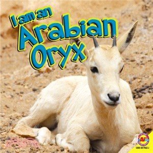 Arabian Oryx