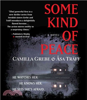Some Kind of Peace ─ A Novel