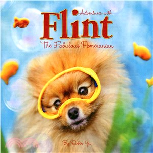Adventures With Flint the Fabulous Pomeranian