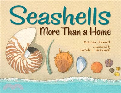 Seashells ― More Than a Home