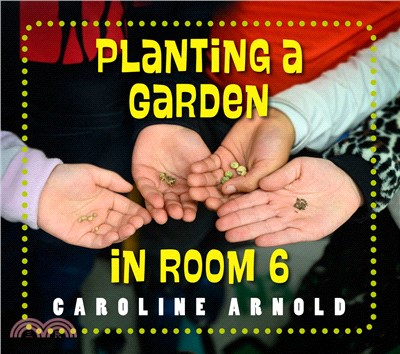 Planting a Garden in Room 6: From Seeds to Salad