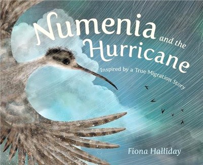 Numenia and the hurricane : inspired by a true migration story