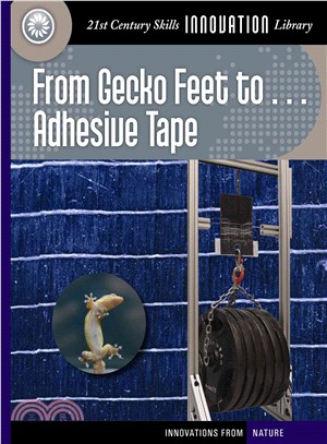 From Gecko Feet to Adhesive Tape