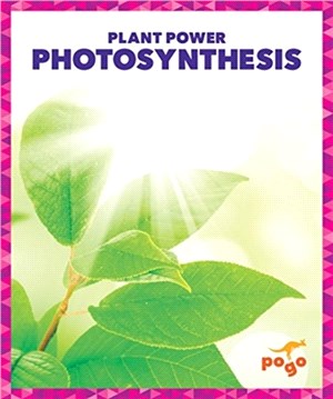 Photosynthesis