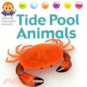 Tide Pool Animals