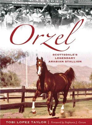 Orzel ─ Scottsdale's Legendary Arabian Stallion