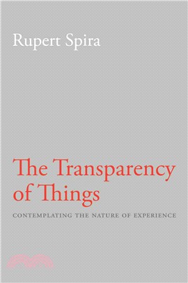 The Transparency of Things ─ Contemplating the Nature of Experience