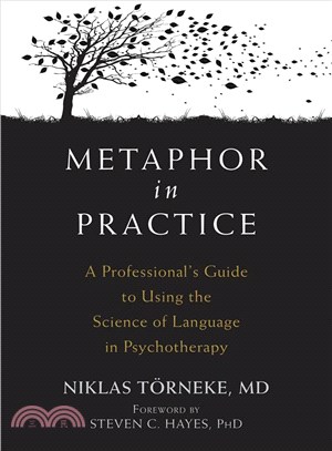 Metaphor in Practice ─ A Professional's Guide to Using the Science of Language in Psychotherapy