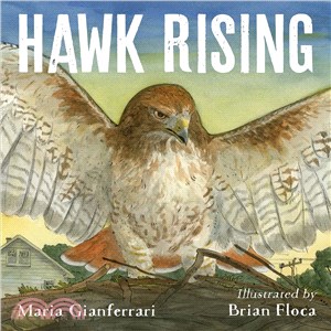 Hawk rising /