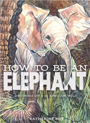 How to be an elephant :growing up in the African wild /