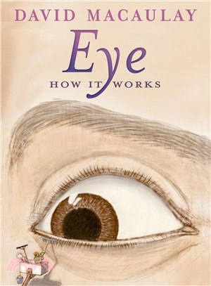 Eye ─ How It Works