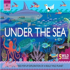 Under the Sea ─ A Multilayered Exploration of the World's Oceans