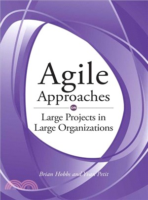 Agile Approaches on Large Projects in Large Organizations