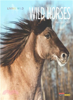 Wild Horses