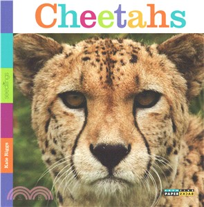 Cheetahs