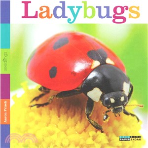 Ladybugs