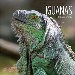 Iguanas