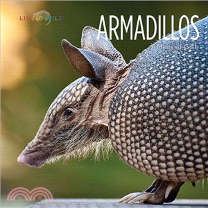 Armadillos