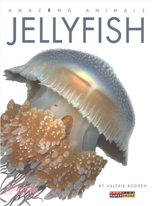 Jellyfish