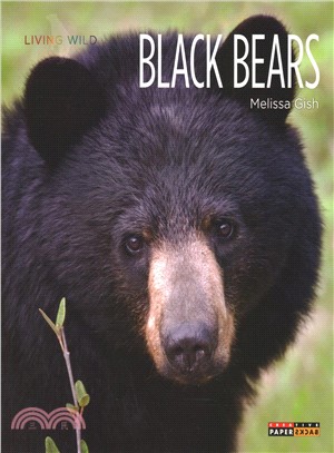 Black Bears