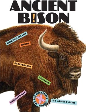 Ancient Bison
