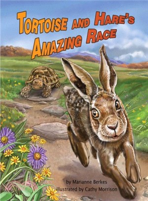 The Tortoise and Hare's Amazing Race
