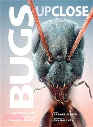 Bugs Up Close