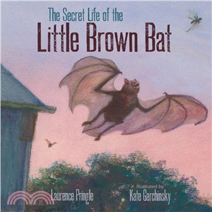 The Secret Life of the Little Brown Bat