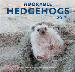 Adorable Hedgehogs 2017