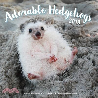 Adorable Hedgehogs 2018 Calendar