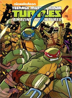 Teenage Mutant Ninja Turtles Amazing Adventures 2