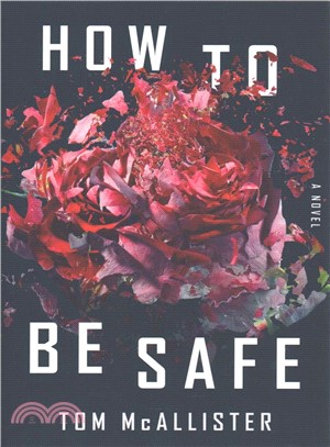 How to be safe :a novel /
