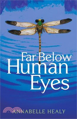 Far Below Human Eyes