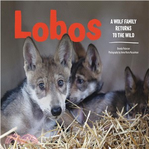 Lobos ― A Wolf Family Returns to the Wild