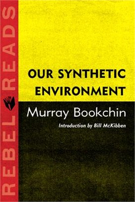 Our Synthetic Environment