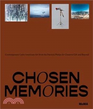 Chosen Memories: Contemporary Latin American Art from the Patricia Phelps de Cisneros Gift and Beyond