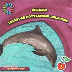 Discover Bottlenose Dolphins