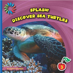 Discover Sea Turtles