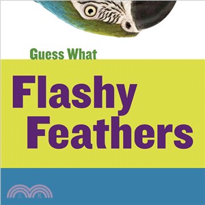 Flashy Feathers ― Macaw