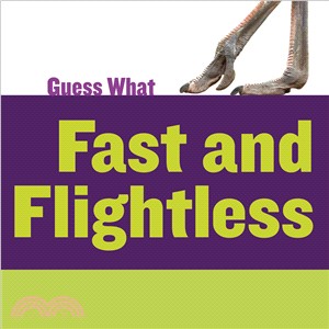 Fast and Flightless ― Ostrich