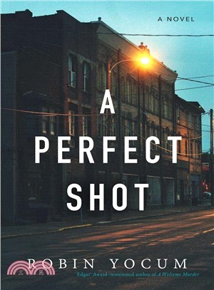 A perfect shot :a novel /