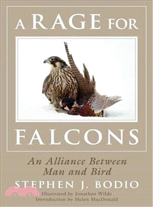 A Rage for Falcons ─ An Alliance Between Man and Bird