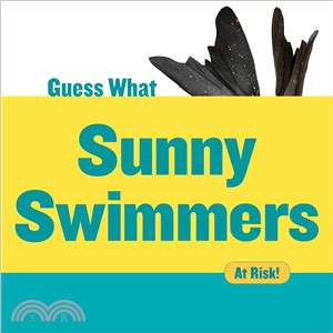 Sunny Swimmers