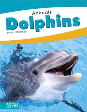 Dolphins
